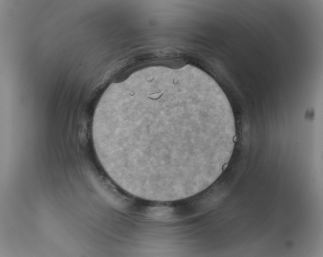 X0000112090266200909151143