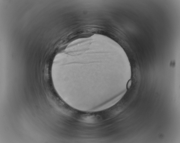 X0000112090267200909151143
