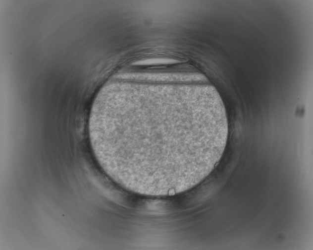 X0000112090268200909151143