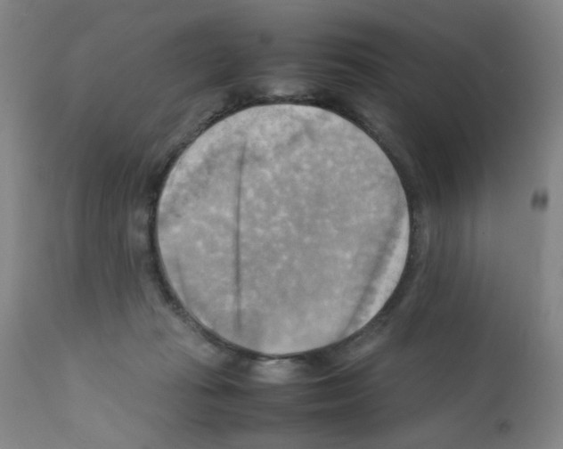 X0000112090269200909151143