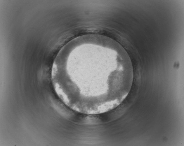 X0000112090270200909151143