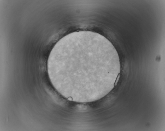 X0000112090272200909151143