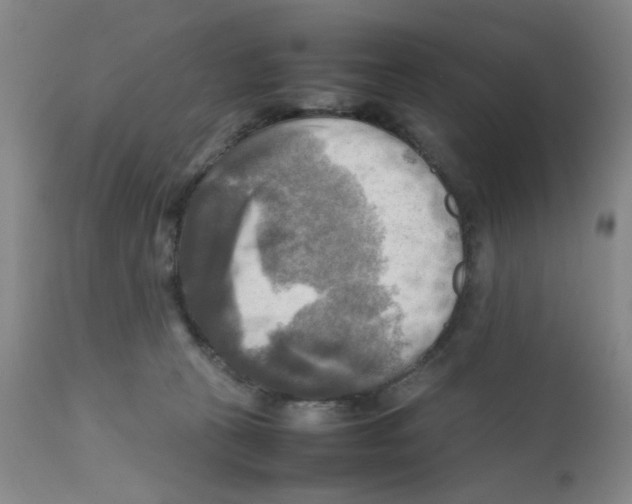 X0000112090273200909151143