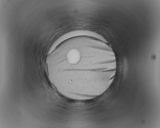 X0000112090276200909151143