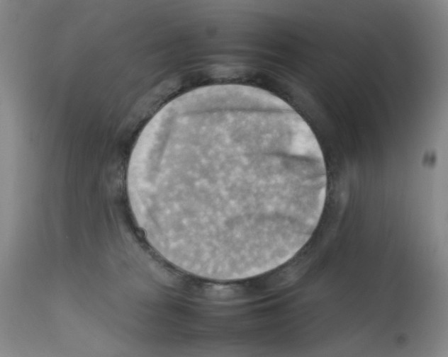 X0000112090277200909151143
