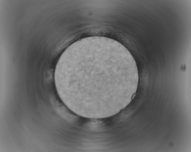 X0000112090278200909151143