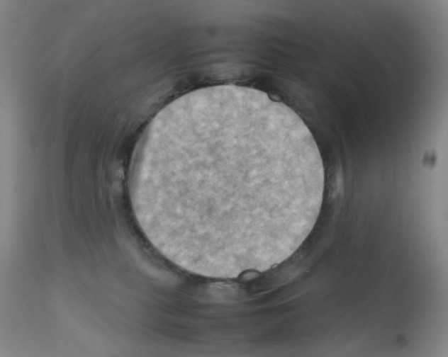 X0000112090279200909151143