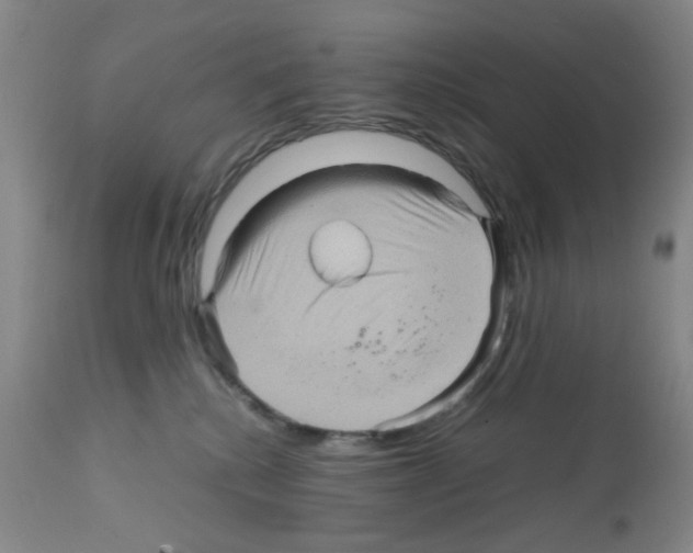 X0000112090280200909151143