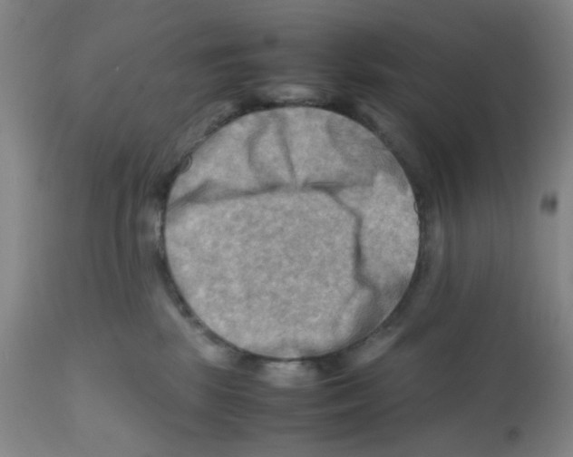 X0000112090281200909151143