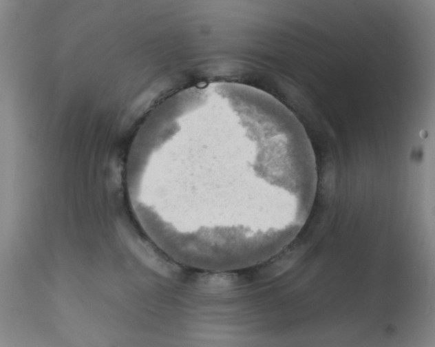 X0000112090282200909151143