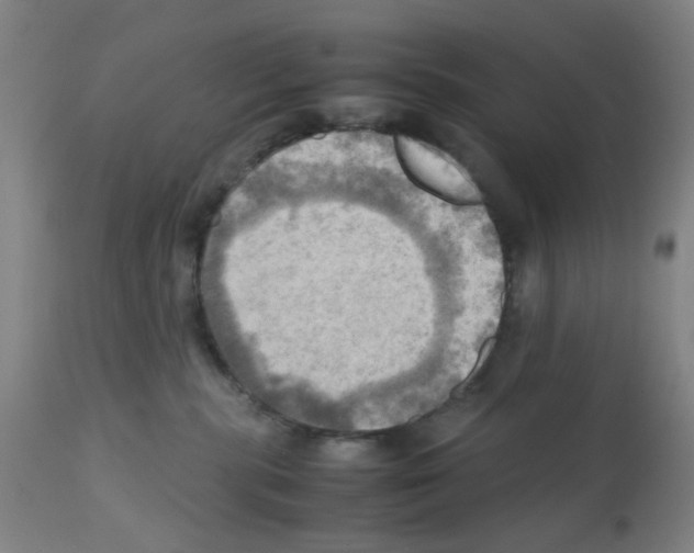 X0000112090283200909151143
