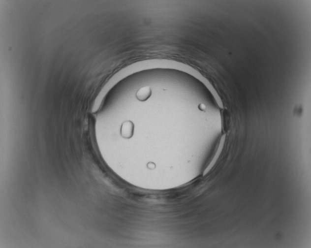 X0000112090284200909151143