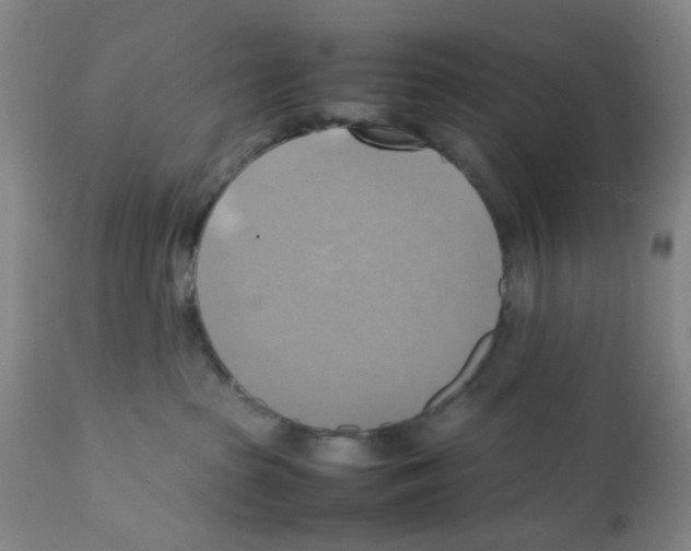 X0000112090285200909151143