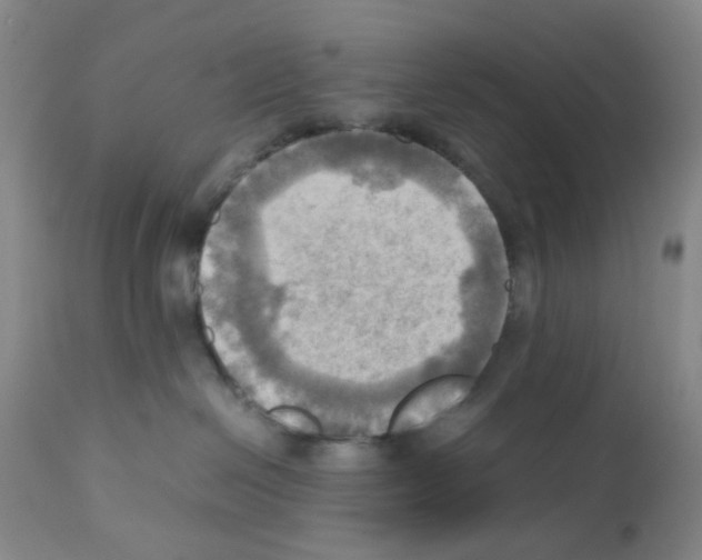 X0000112090286200909151143