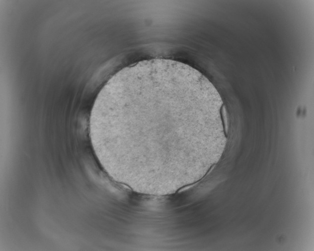 X0000112090288200909151143