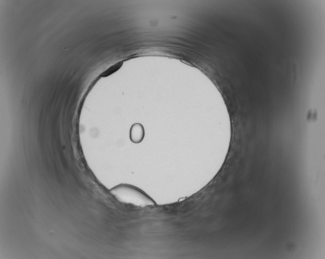 X0000112090289200909151143