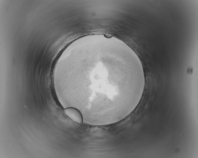 X0000112090290200909151143