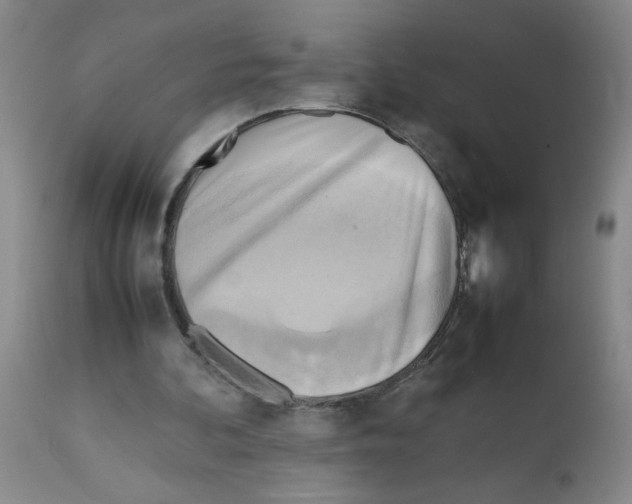 X0000112090292200909151143