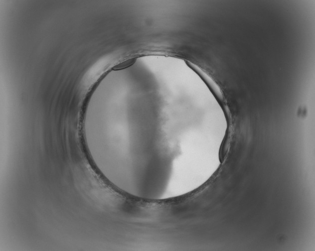 X0000112090293200909151143
