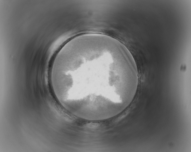 X0000112090294200909151143
