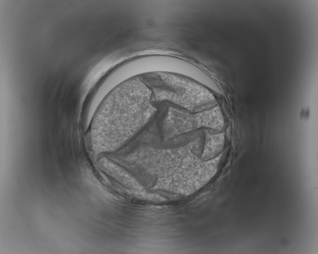 X0000112090296200909151143
