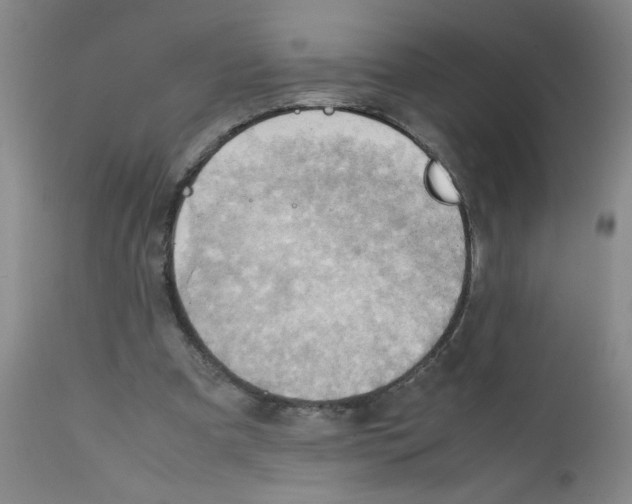 X0000112090297200909151143
