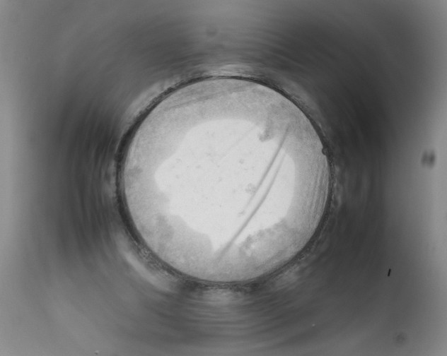 X0000112090298200909151143