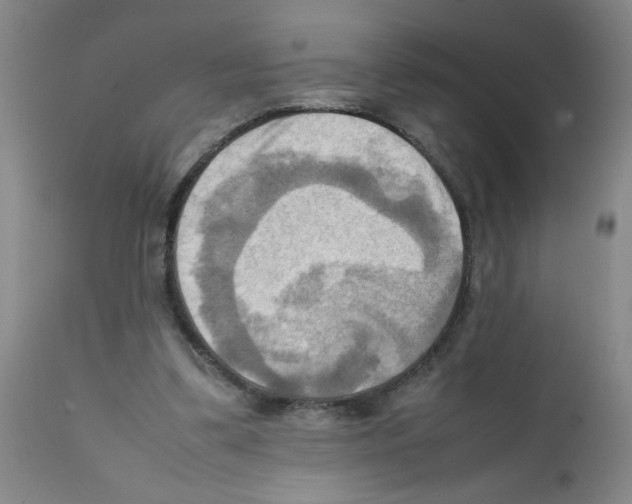 X0000112090299200909151143