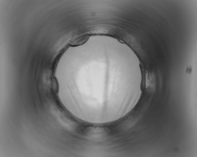 X0000112090300200909151142
