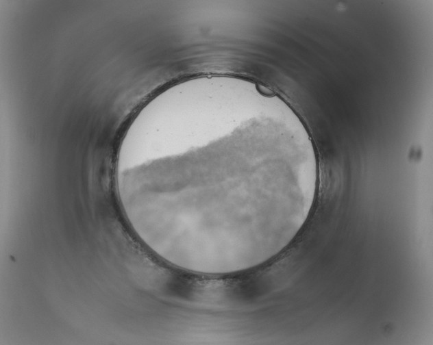 X0000112090301200909151142