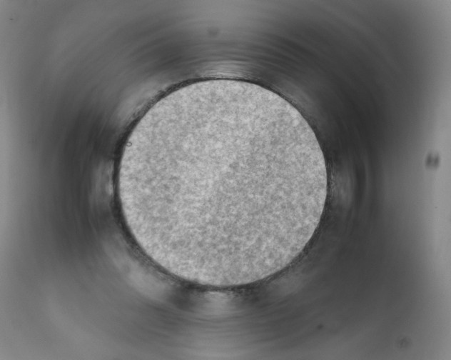 X0000112090302200909151142