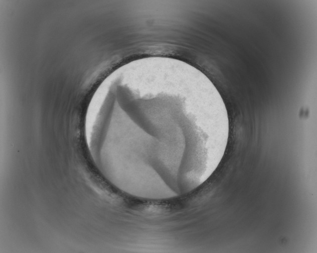 X0000112090303200909151142