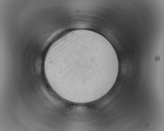 X0000112090304200909151142