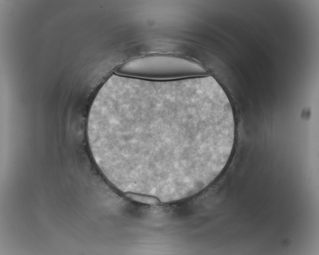 X0000112090305200909151142
