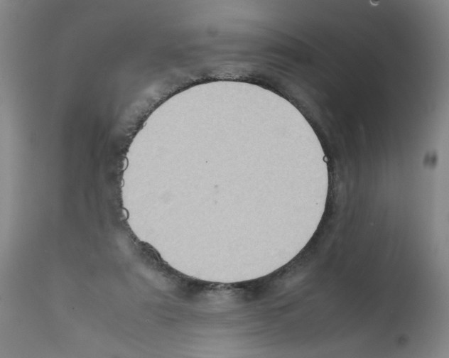 X0000112090307200909151142