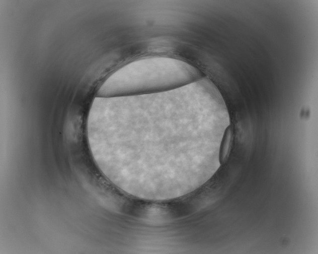 X0000112090308200909151142