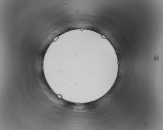 X0000112090309200909151142