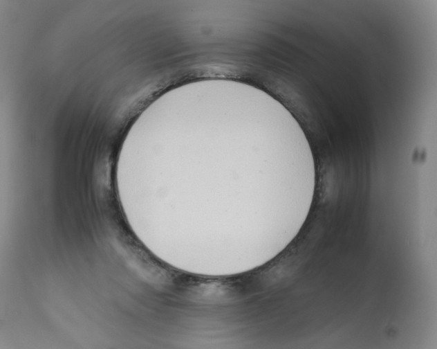X0000112090310200909151142