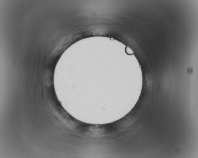 X0000112090311200909151142