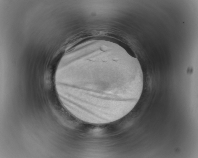 X0000112090312200909151142