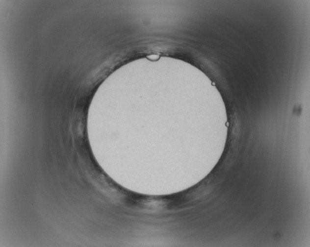 X0000112090313200909151142