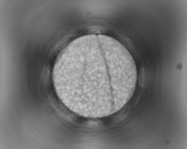 X0000112090314200909151142