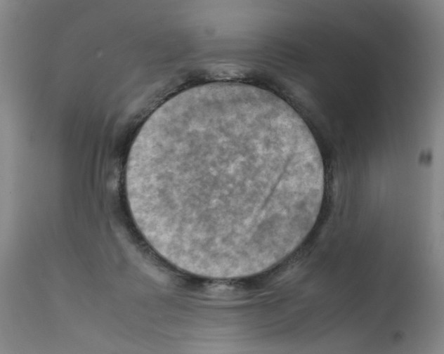X0000112090315200909151142