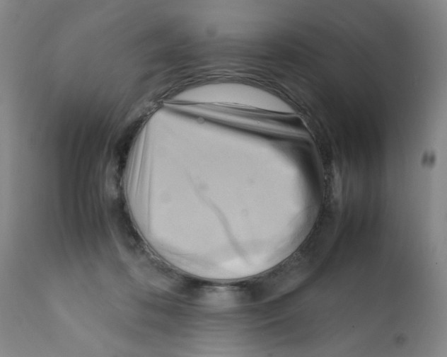 X0000112090316200909151142