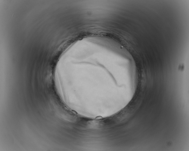 X0000112090320200909151142