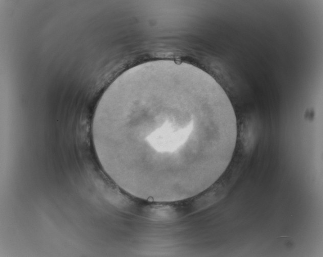 X0000112090322200909151142
