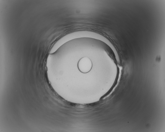 X0000112090325200909151142
