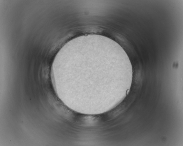 X0000112090326200909151142