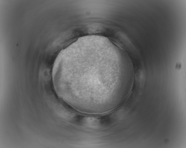 X0000112090327200909151142