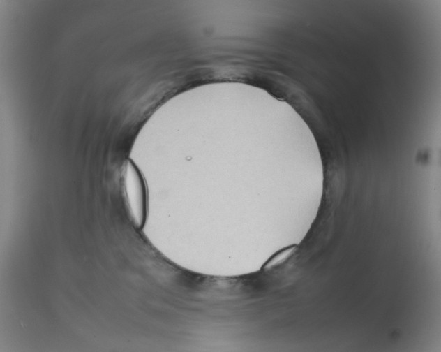 X0000112090329200909151142